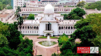 HC releases full text of judgment: UNO's role as upazila CEO illegal