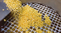 12 dead from asphyxiation in Venezuelan gold mine