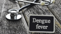 Dengue fever: 3 deaths, 97 hospitalised in 24 hours