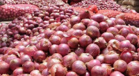 Govt permits onion imports from Monday