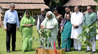 PM urges all to plant trees to tackle climate change