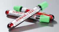 Dengue fever: One death, 101 hospitalised in 24 hours