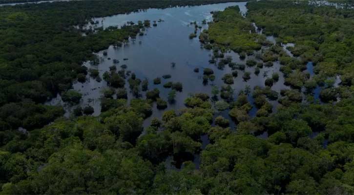 Brazil: 14 killed after plane crashes in