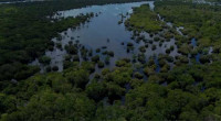 Brazil: 14 killed after plane crashes in Amazon