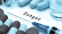 Dengue: 16 dead, 3,008 hospitalised in a day