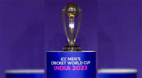 Which Country Wins ICC World Cup 2023?