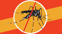 Dengue cases cross 2 lakh, killed 975 people this year 