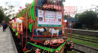 ‘Cattle Special Train’ to begin June 12