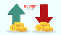 Budget FY2024-25: Products getting costlier, cheaper