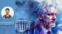Diplomacy, politics, and law make Julian Assange free