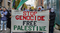 Pakistan seeks urgent UN intervention to stop Gaza genocide