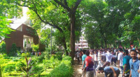 BCL activists lock into clash with quota protesters at DU