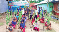 Tree plantation and sapling distribution in Panchagarh
