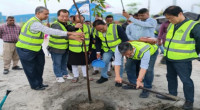 KBCCI organises tree plantation program