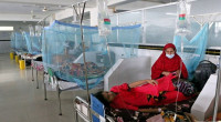 3 more dengue patients die, 358 hospitalized in 24hrs