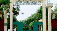 Botanical Garden entry fee reduced 