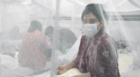 3 dengue patients die, 1,186 hospitalized in 24hrs