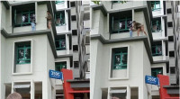 Bangladeshi youth saves toddler from ledge in Singapore