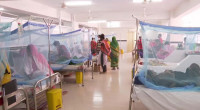 Ten die, 966 hospitalised with dengue fever in 24hrs