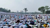 Olama Mashayekh rally: Thousands gather at Suhrawardy Udyan