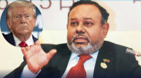 Bangladesh-US ties to remain steady post-US election: Ex-envoy