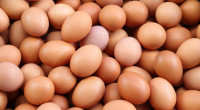 Eggs at affordable prices in Dhaka from today 