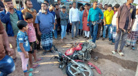 Two including BRDB chairman killed in Gopalganj accident