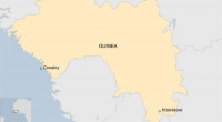 Dozens killed in crush at Guinea football match - reports