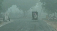 Moderate cold wave with fog likely across Bangladesh