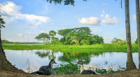 Weather may remain dry over Bangladesh