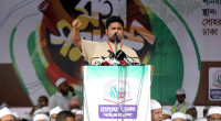 Hasnat calls AL a 'terrorist organization' 