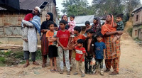 66 Indian nationals pushed into Bangladesh