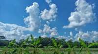 Bangladesh sees dry weather, isolated showers in Sylhet: Met office