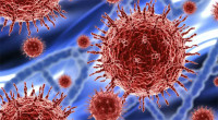 15 Covid-19 cases reported in 24 hour