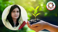 BNP launches 2-day tree plantation programme on Zubaida's birthday