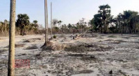 Climate change poses threat to Bangladesh's agriculture, food security 