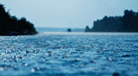 Met office predicts rain across Bangladesh