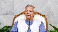 CA orders to install solar panels on all govt office rooftops