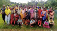 BSF pushes in 48 more through Moulvibazar border