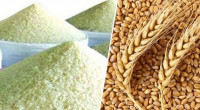 Bangladesh ranks among top five for severe food insecurity