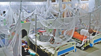 Bangladesh reports 514 new dengue cases in 24 hours