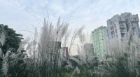 Dhaka’s air quality ‘moderate’ on Monday morning