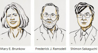 Mary Brunkow, Fred Ramsdell, Shimon Sakaguchi get Nobel Prize in Medicine 