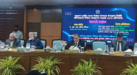 EC to open expatriate voting app on Nov 16