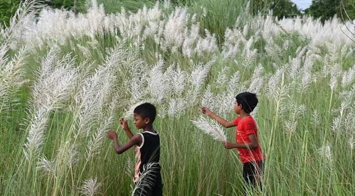 ছবি: উজ্জ্বল ধর