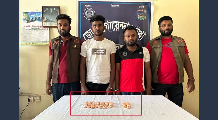 উল্লাপাড়ায় ইয়াবাসহ ২ কারবারি গ্রেপ্তার