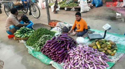 বগুড়ায় বেগুনের কেজি আড়াই থেকে ৫ টাকা!