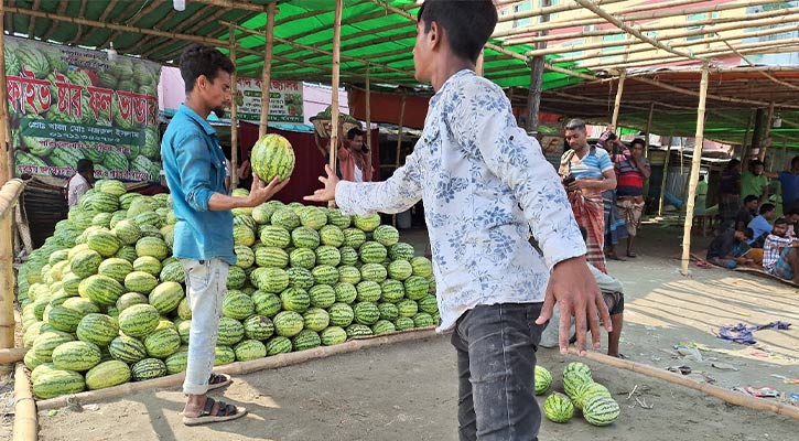 গোটা তরমুজ কিনে কেজি ভাও বিক্রি!