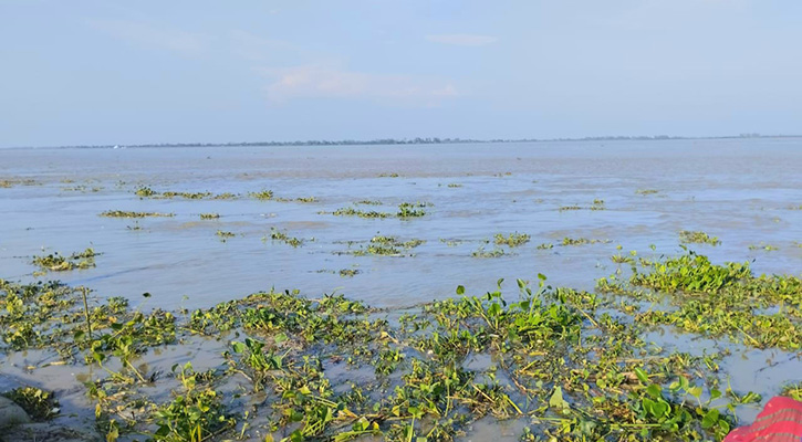 বিপৎসীমার ২৬ সে.মি. ওপরে বইছে ব্রহ্মপুত্র, পানিবন্দি হাজারো মানুষ