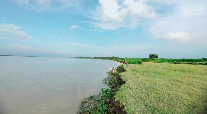 ফারাক্কার সব গেট খুললেও প্রভাব পড়েনি রাজবাড়ীর পদ্মায়